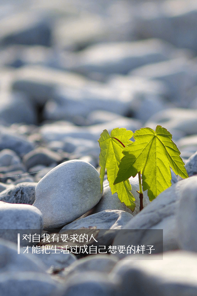 做更好的自己别让坏情绪把你左右