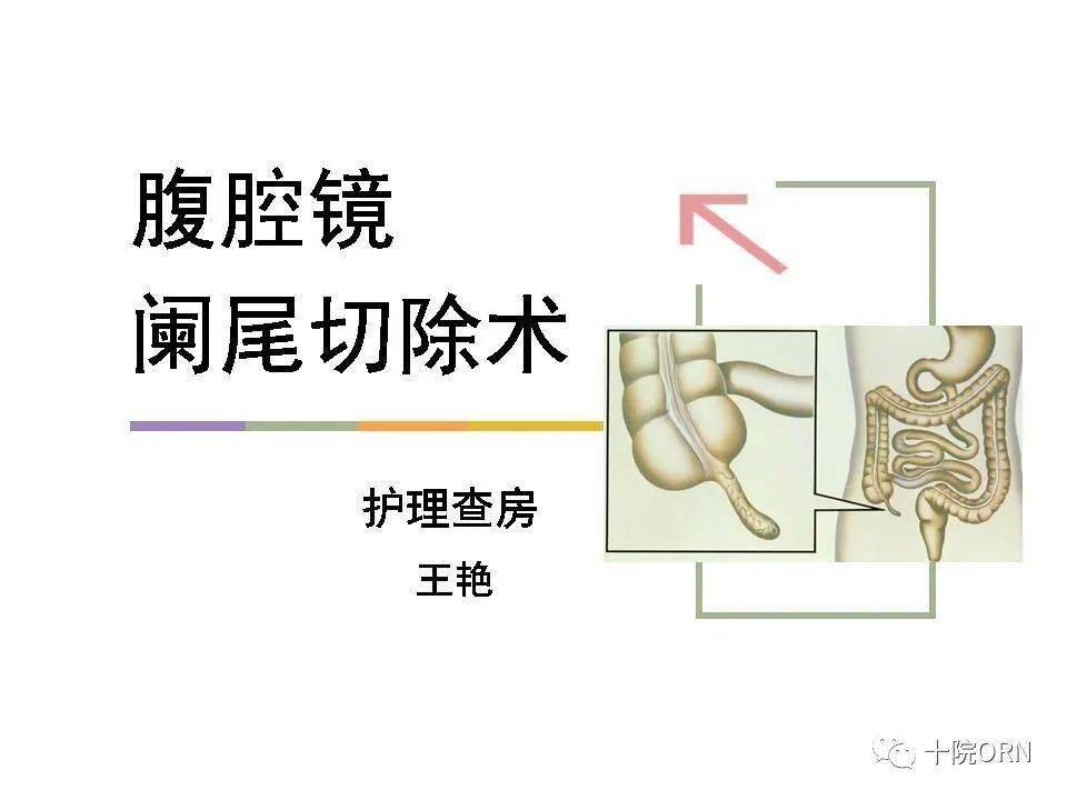 【ppt】腹腔镜阑尾切除术围术期的护理