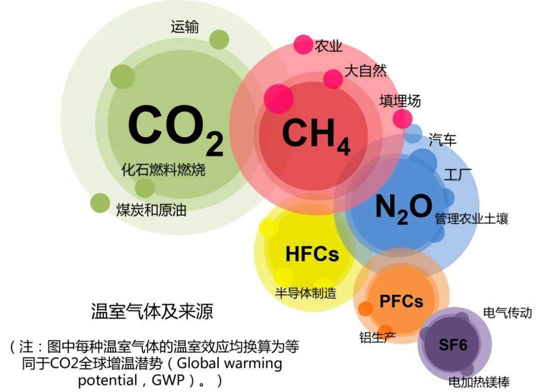 茶园之隐秘的角落产生温室气体的真凶