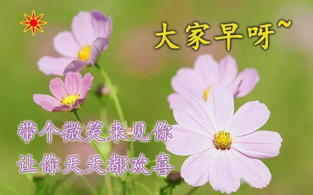 早上好鮮花問候語動態圖片 祝福早上好鮮花圖片帶字圖片