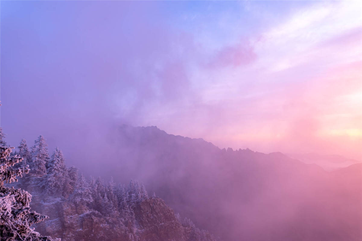 贺兰初雪生紫烟