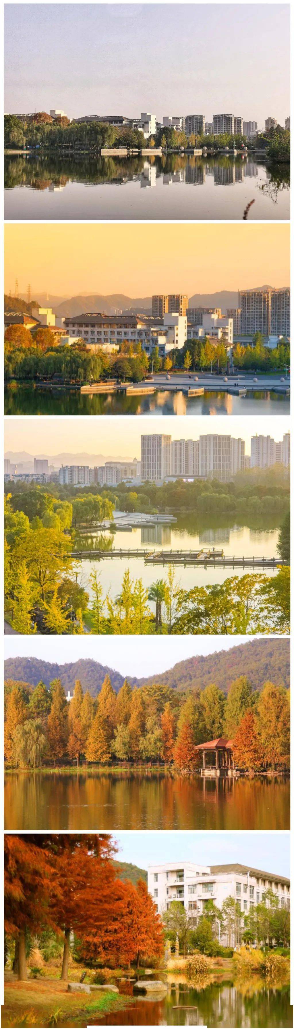 浙江农林大学的烂漫金秋,我愿与你分享