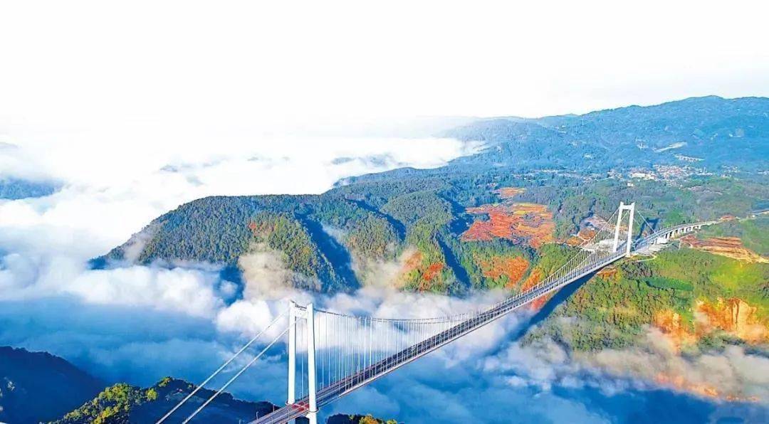 他山之石,可以攻玉!深化桂滇投资大合作,共建西部陆海新通道