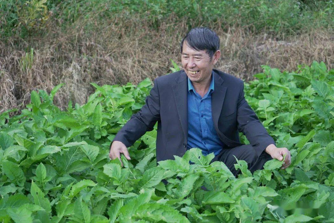 【走向我们的小康生活】张成智:群众过上好日子是我最大的心愿