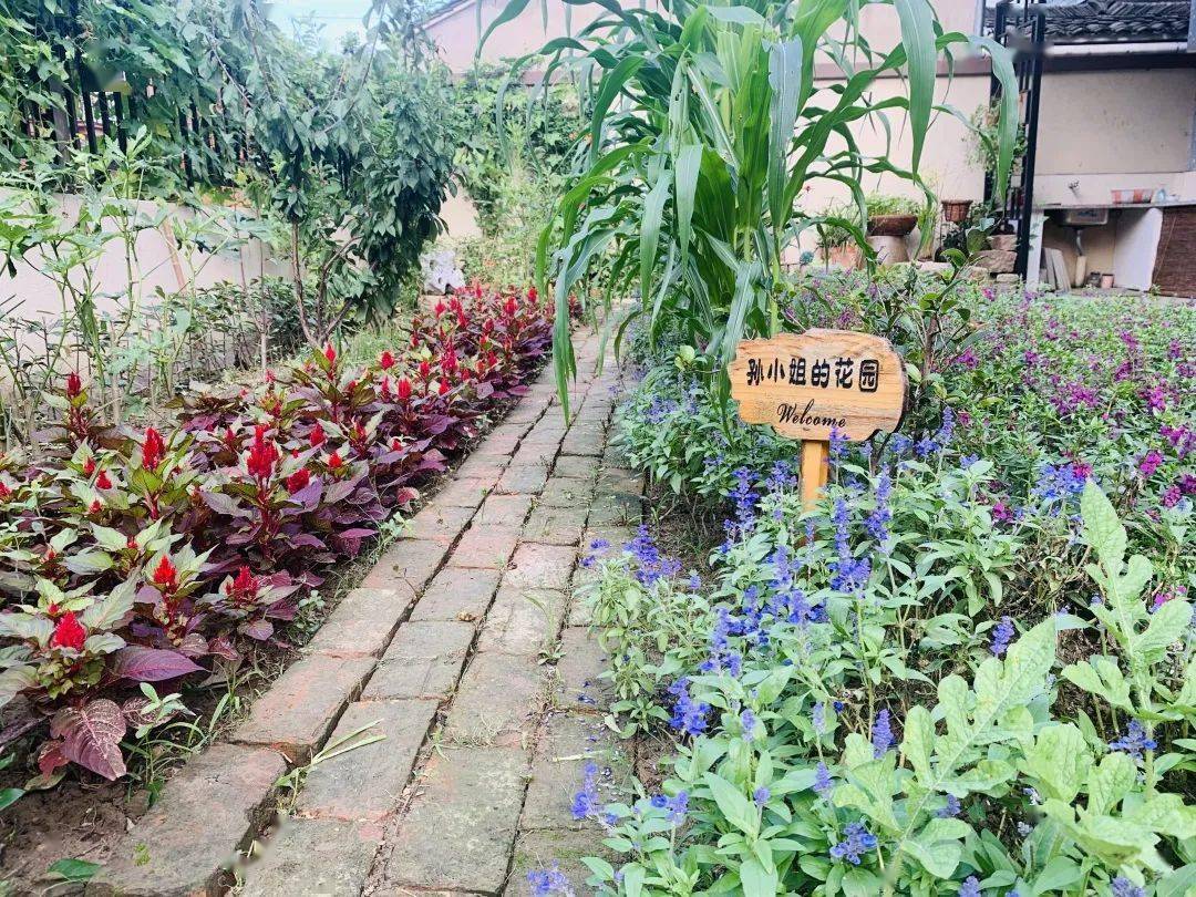 农户的实际需求,以最小的成本,得到最满意的效果,让一个个微花园扮靓