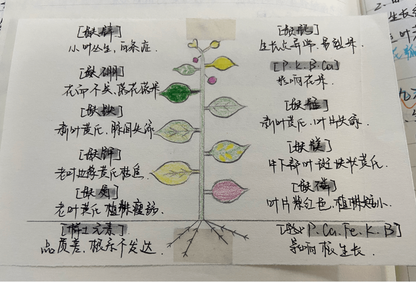 最牛笔记①最牛笔记还有0秒送达