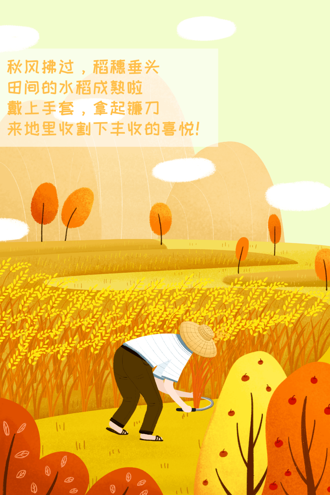 秋收"春种一粒粟,秋收万颗子"秋天是丰收的季节对于城市中长大的孩子