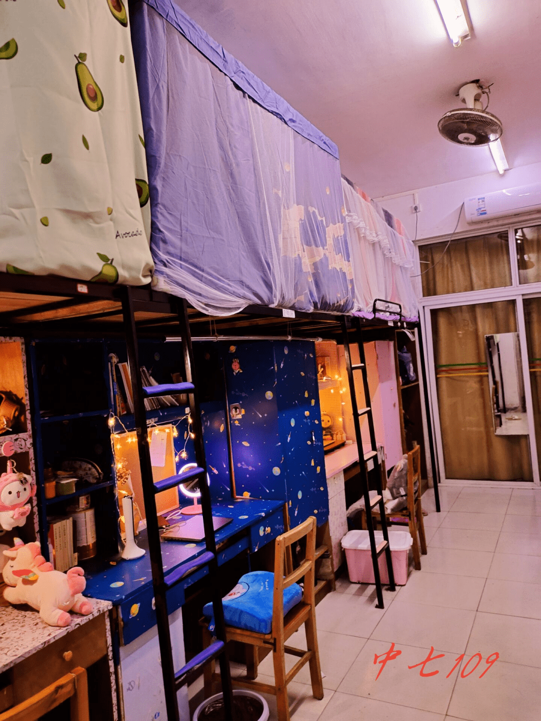 四川旅游学院寝室图片图片
