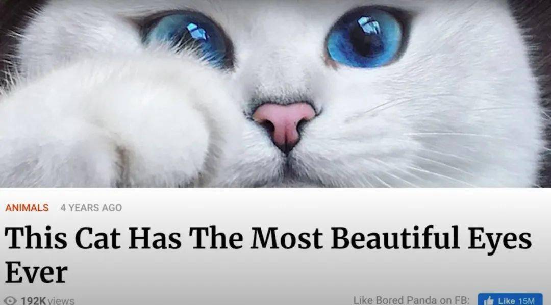 网友:原来长得好看真的可以当饭吃_coby