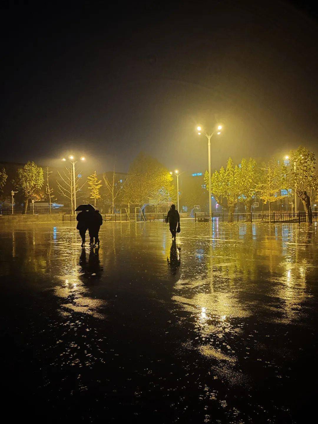 一埸秋雨后,财园铺锦绣