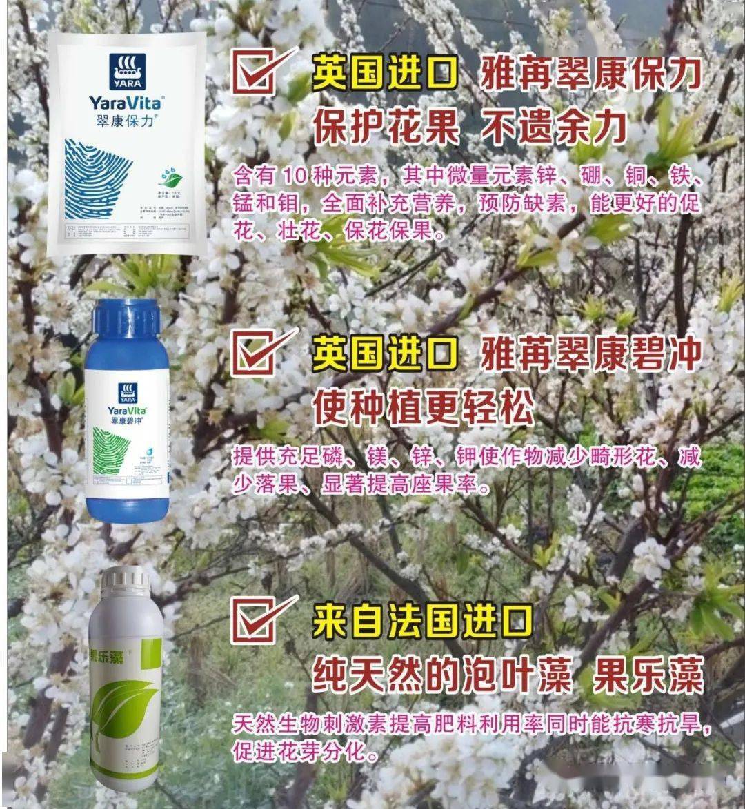 修剪之后喷施3次 翠康保力 翠康碧冲 果乐藻.