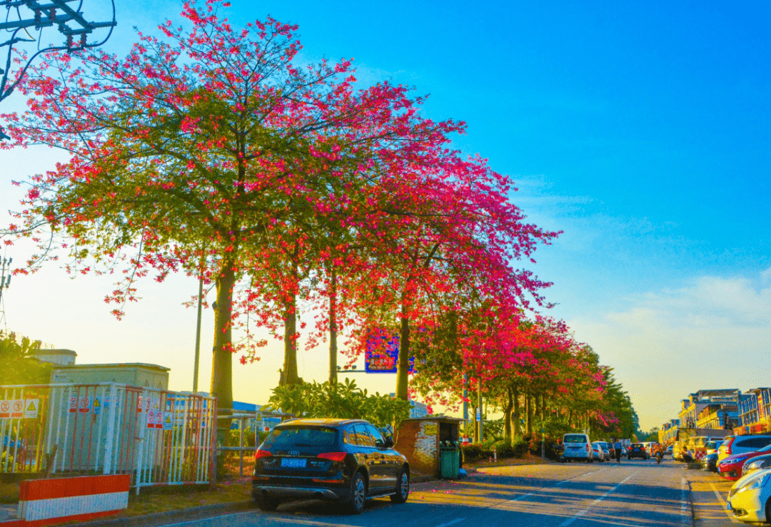 心灵驿站美图敢闯才有机会敢拼才有未来