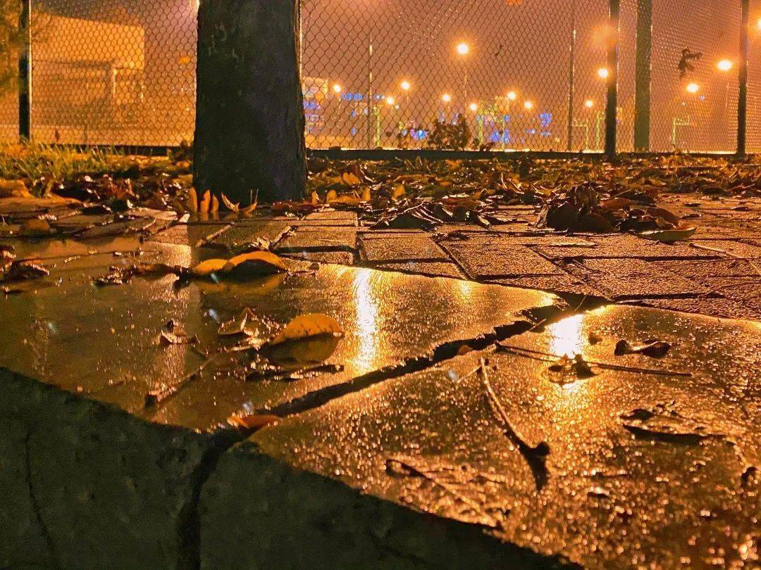 缤纷财大|立冬后的第一场雨,"雨"你一同欣赏_冬雨