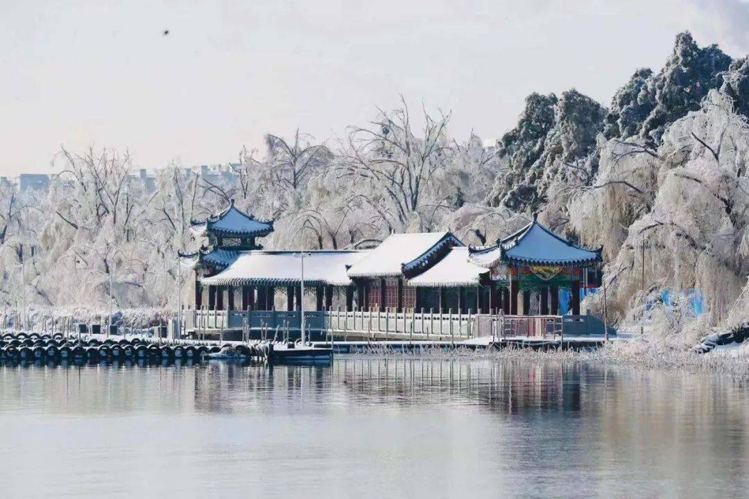 今天长春雪景有多美看这一条就够了