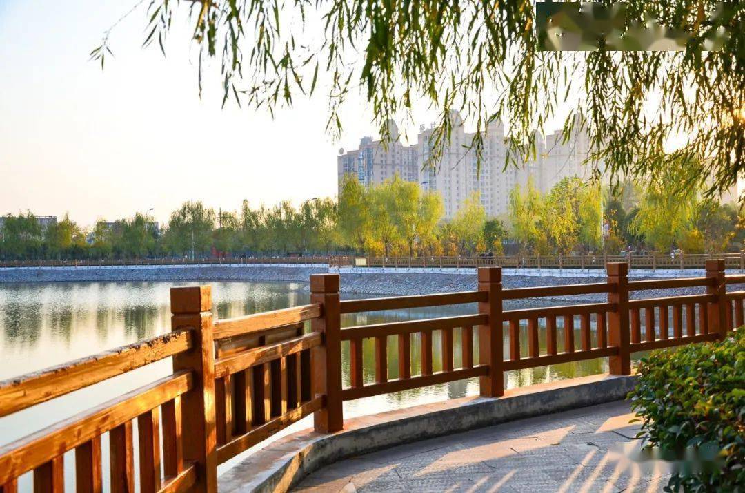 美丽正阳初冬的正阳想把这些最靓颜色给你看