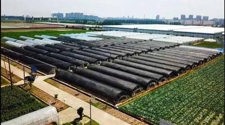 五四农场是上海市建立起的国营农场.位于奉贤区东南的杭州湾畔.