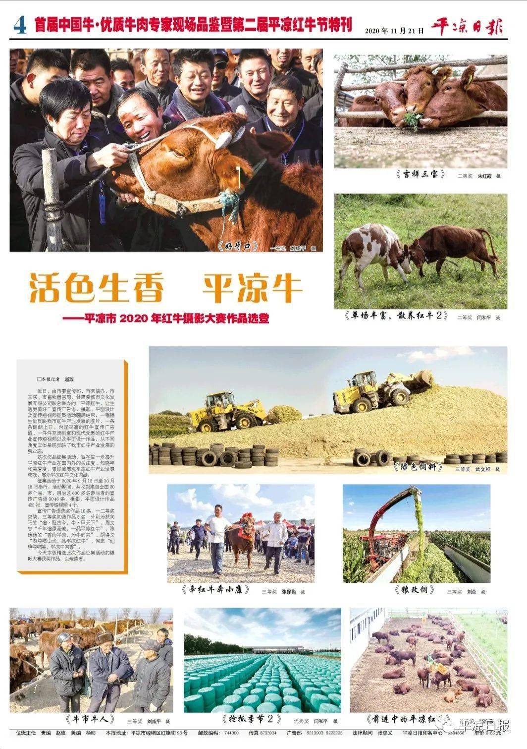 来源:平凉日报 审核:雷勇 李一宁 卢姗  编辑:王娜 返回搜