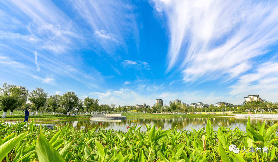 西青创文感谢有您西青区委区政府致全区人民的感谢信