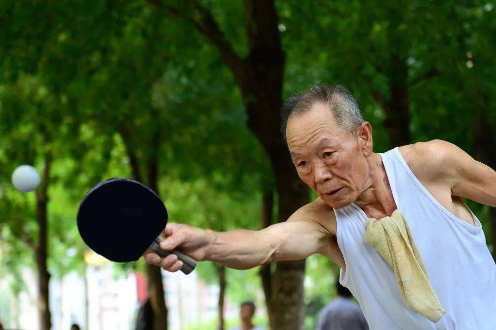 专业奥运冠军当指导国际友人爱请教球桌两头我和你乒乓情系千万里咋样