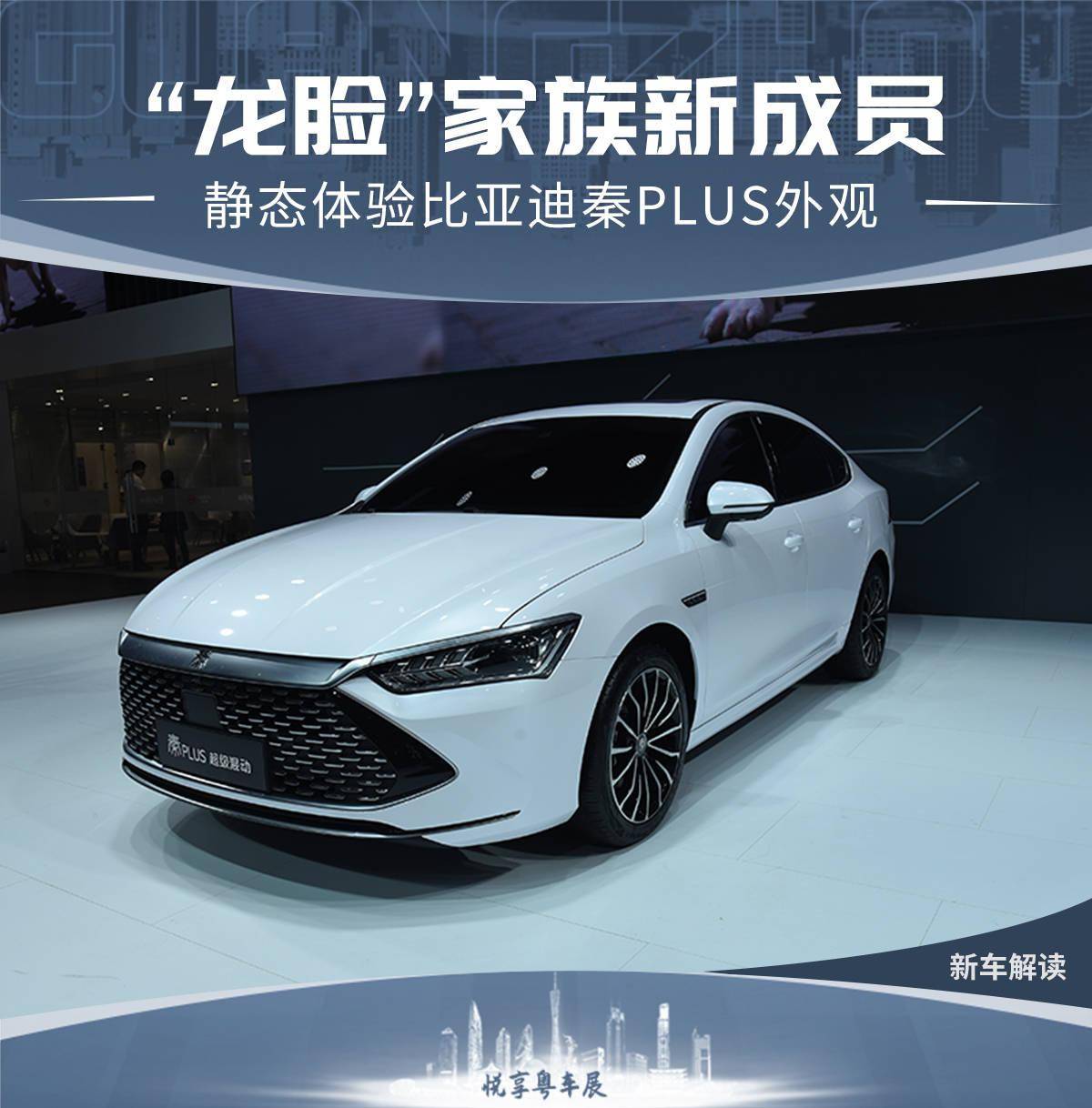 "dragon face"新成员 静态体验比亚迪秦plus