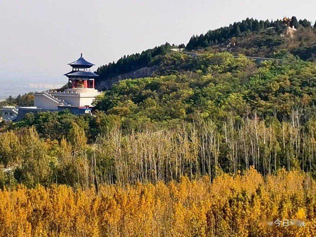 秋天在诸城打翻了调色盘