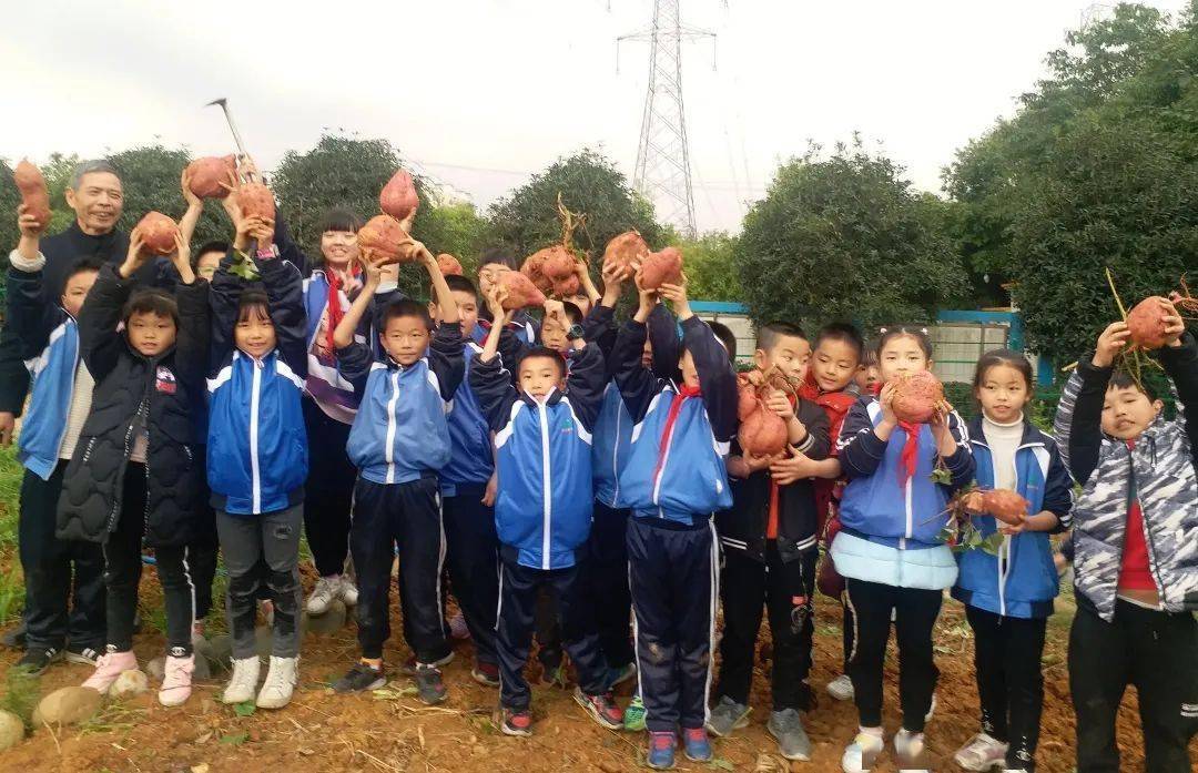 龙泉好学校丨洪安小学龙泉驿区生态文明教育的一张名片