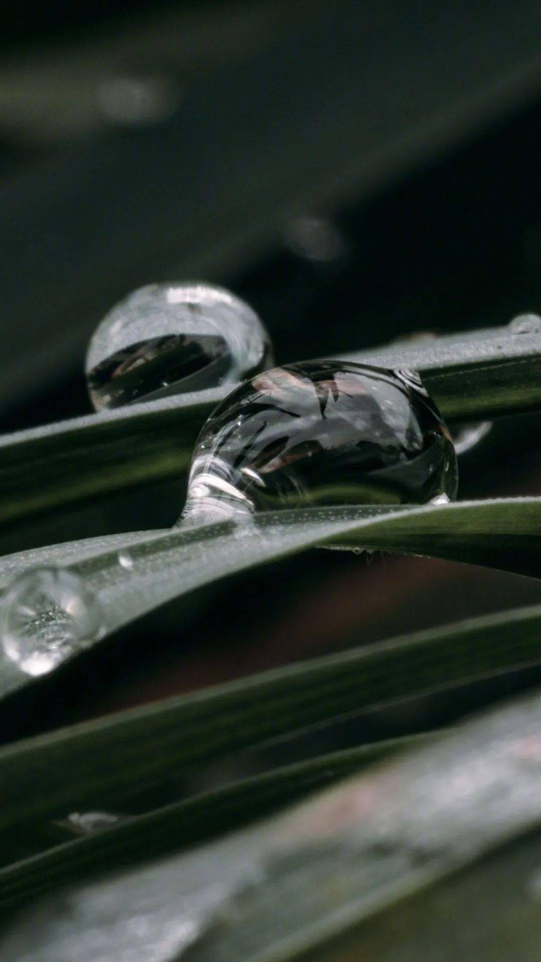 生起智慧的觉照每做一件小事的当下每说一句话的当下那就从我们的每一