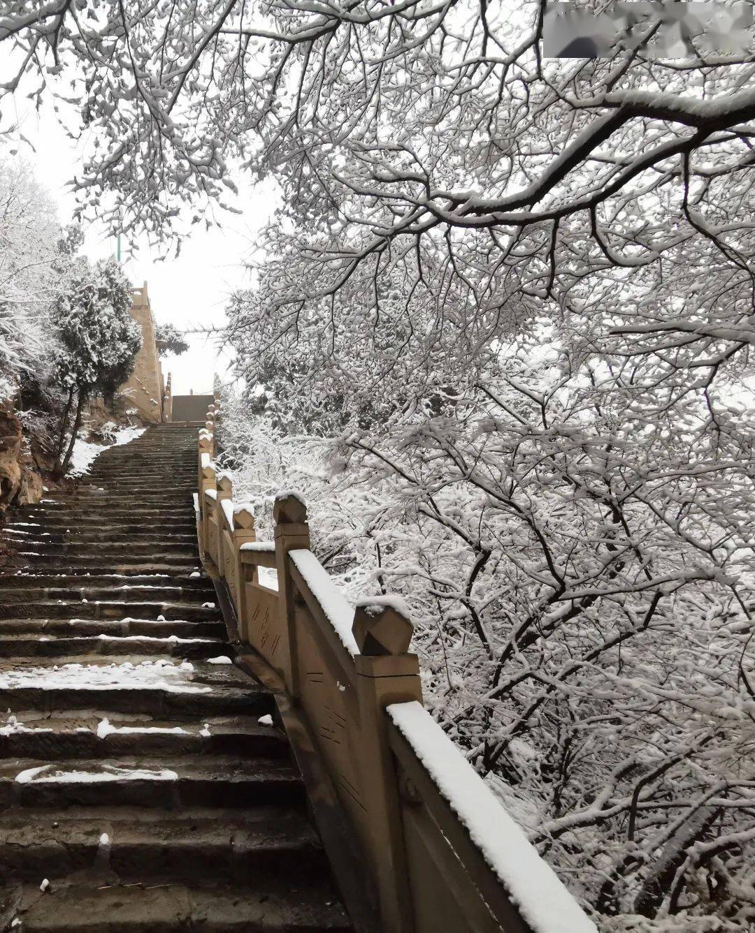 骊山雪景图图片