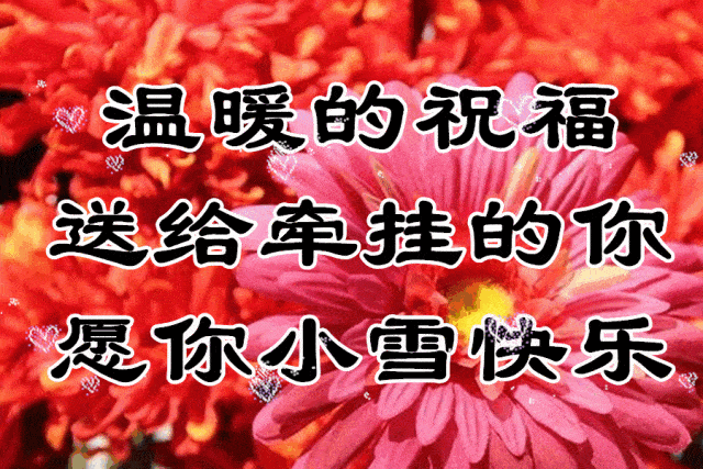 今日小雪,一首《飘雪的季节更想你》送给牵挂的你,天冷了,多加衣!