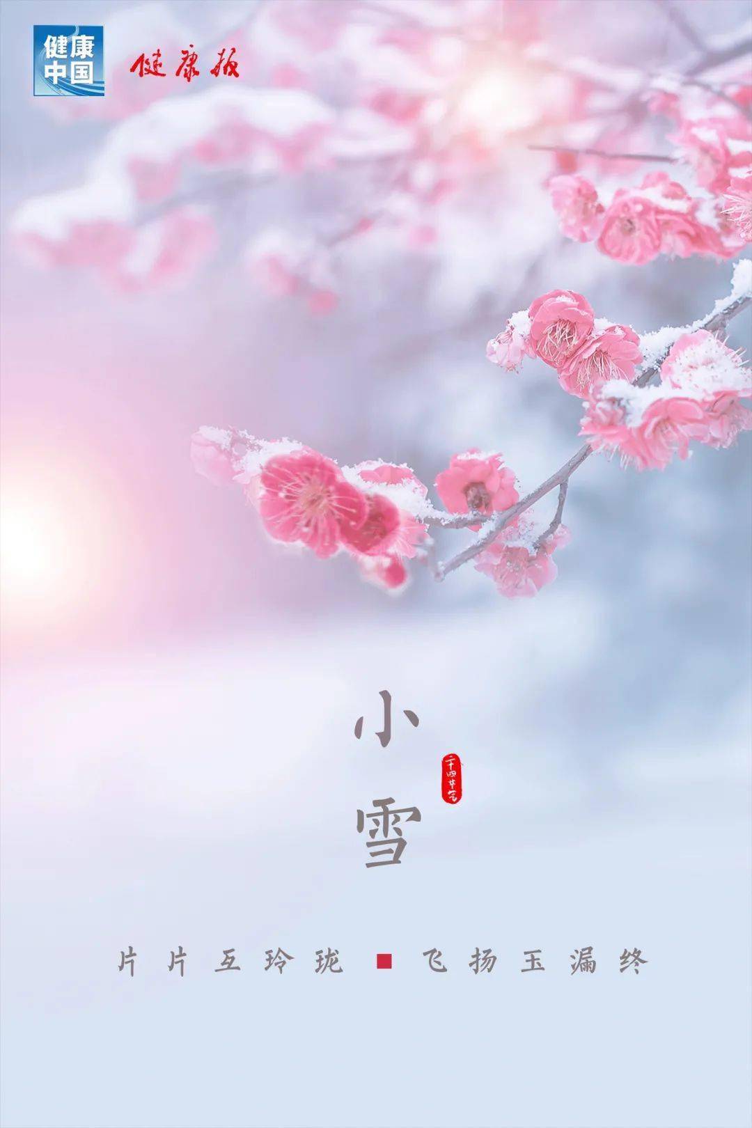 【节气养生】藏养开启立冬后,小雪养生正当时