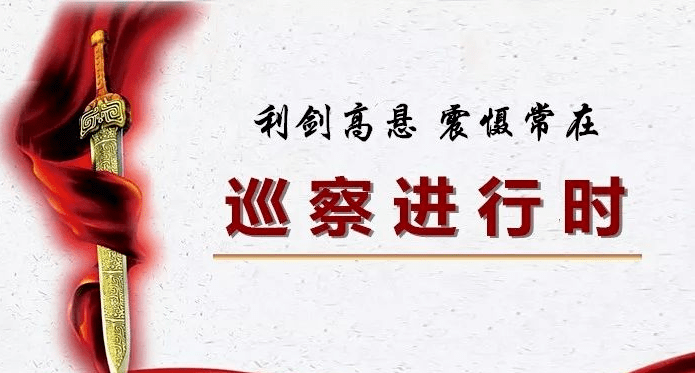 公司党委开展第四轮政治巡察情况反馈_整改