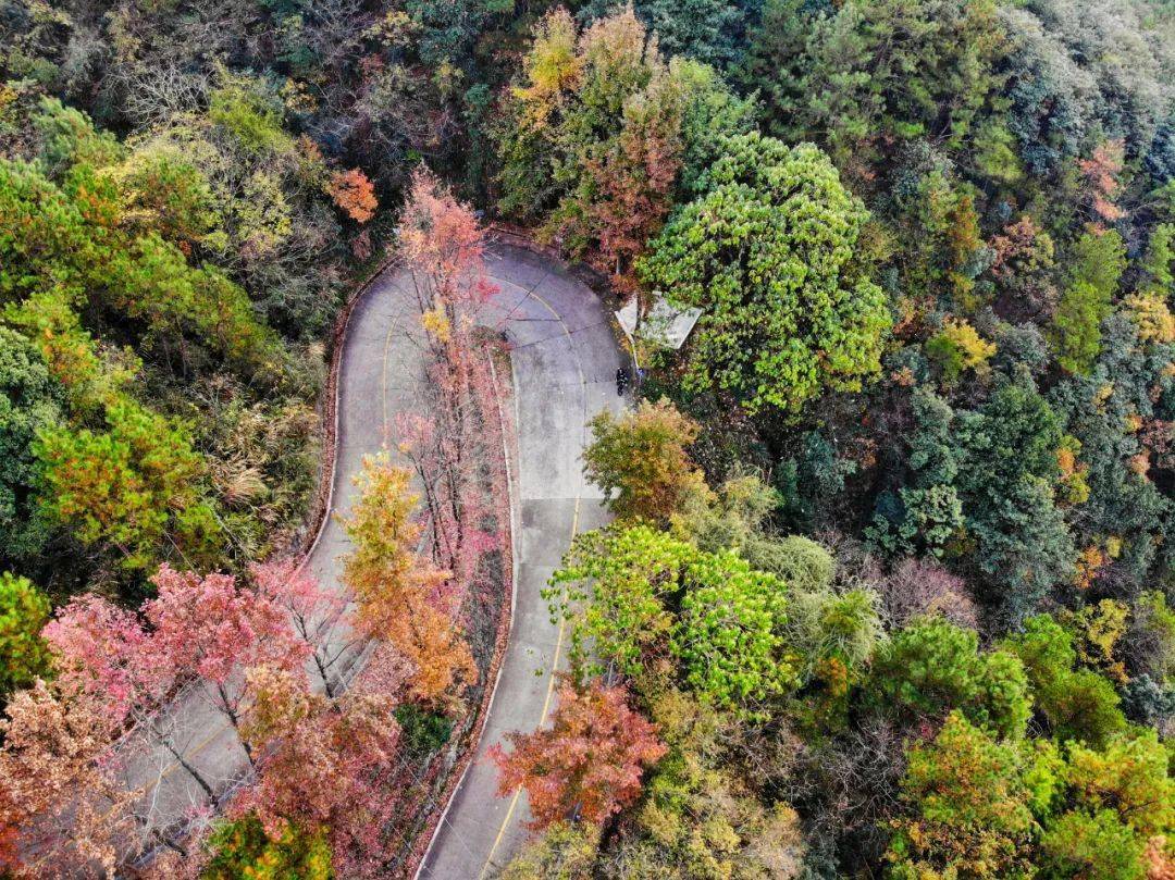 浙江最美自驾公路浦江图片