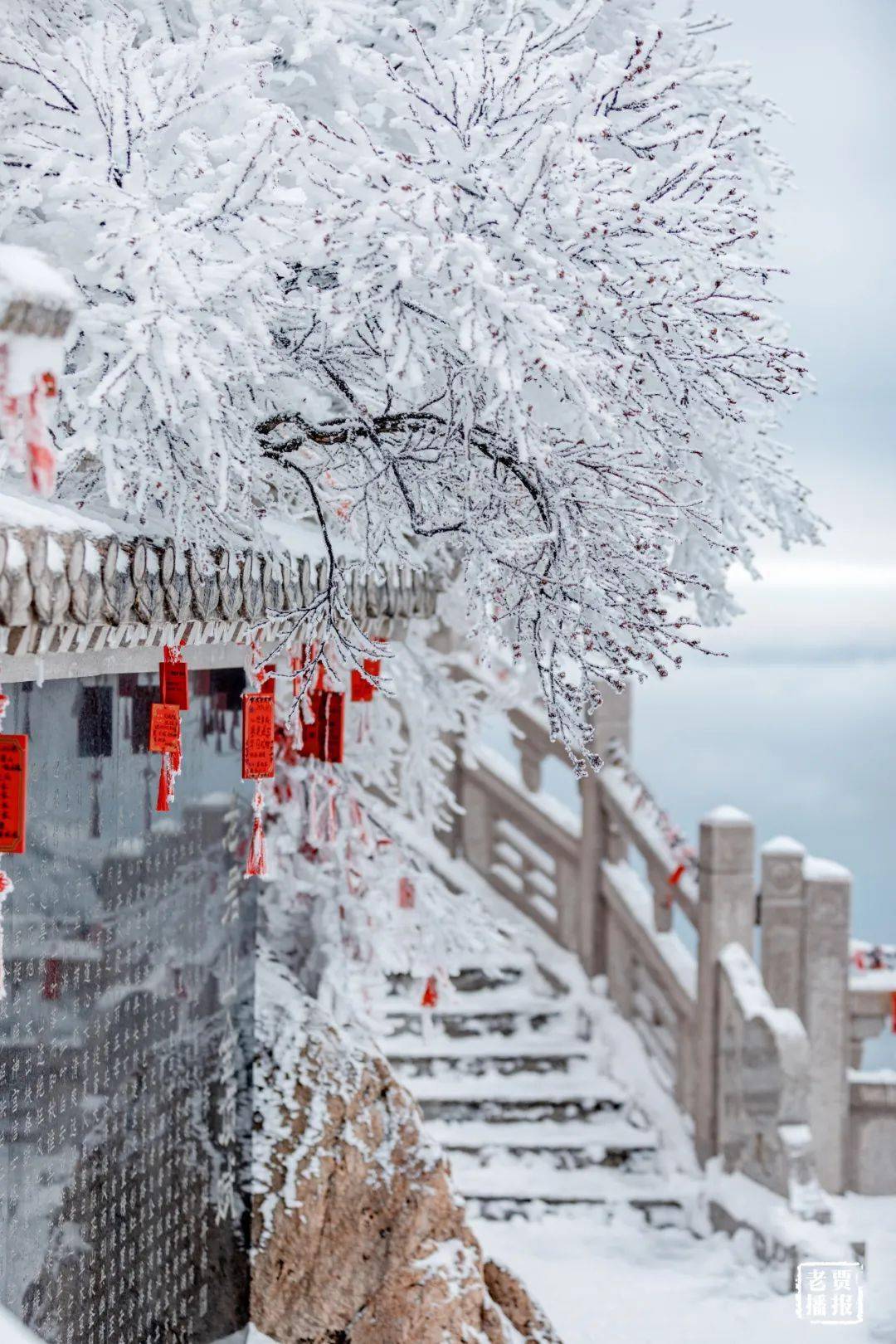 迎来今年入冬后的首场降雪天气洛阳市南部山区共同影响受高空低槽和冷