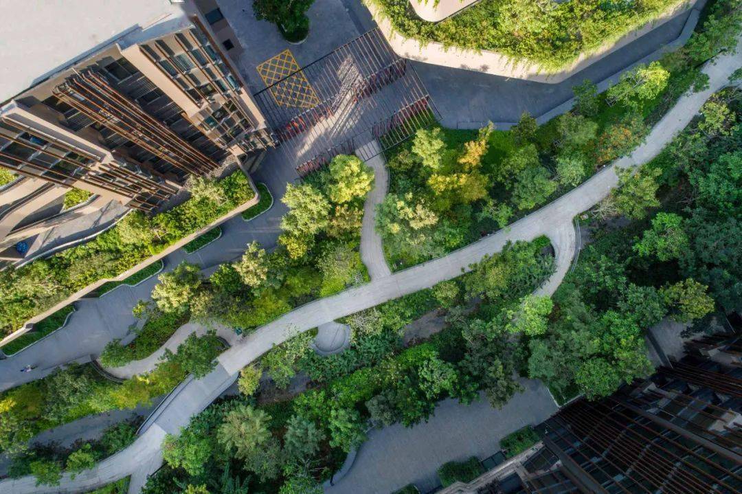 来一波~_新景观