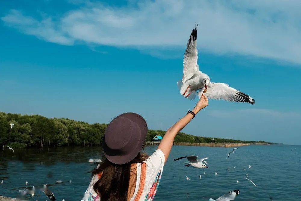 这首音乐里藏着中国人与动物和谐相处的美好约定