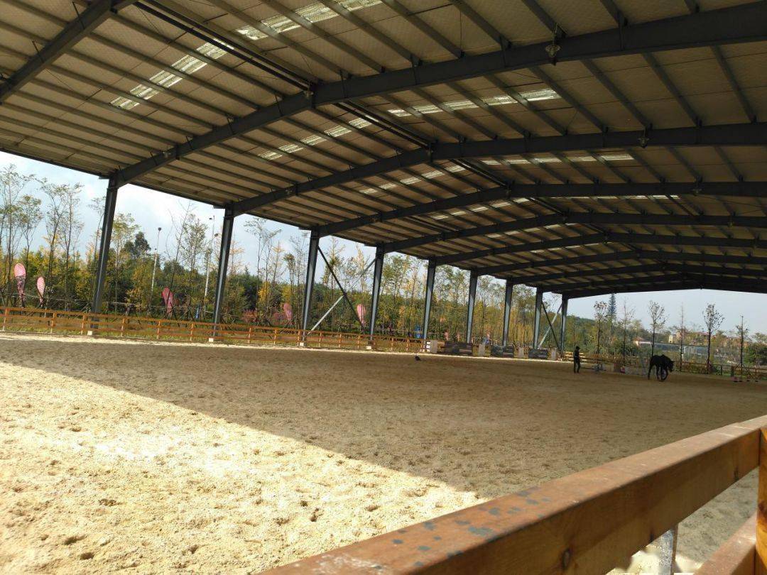 场地涵盖私人马舍,马术教室,马术场地的专业马场.