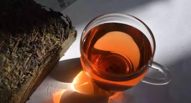 安化黑茶的十大特点_茶树