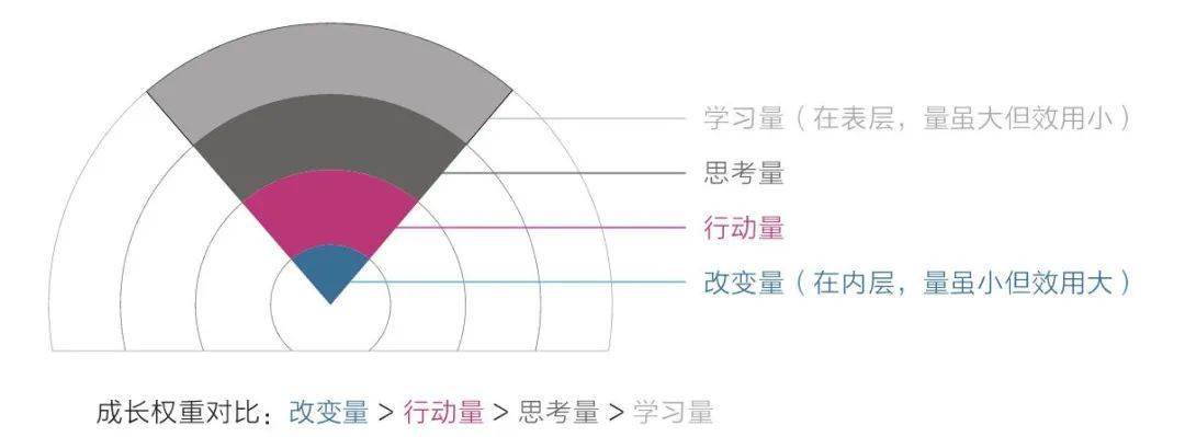 成長權重半雷達圖