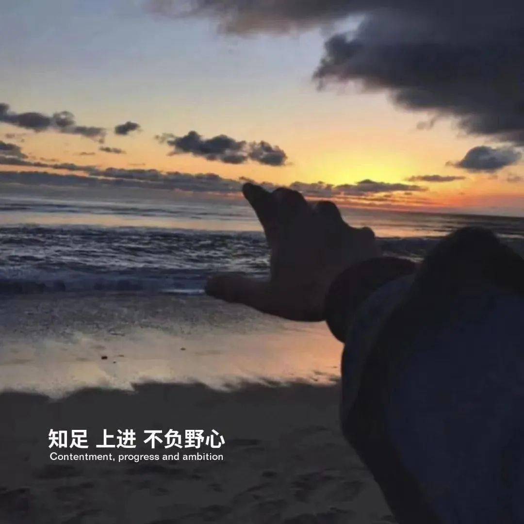 背景图渐渐的我不再期待任何人和事了