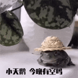 小天鹅今晚有空吗表情包，小天鹅今晚有空吗全套表情包