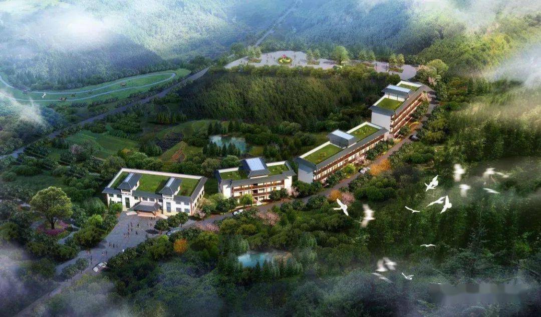 刚刚广东360亿建30000床位生态园养老院另一座荷兰养老小镇