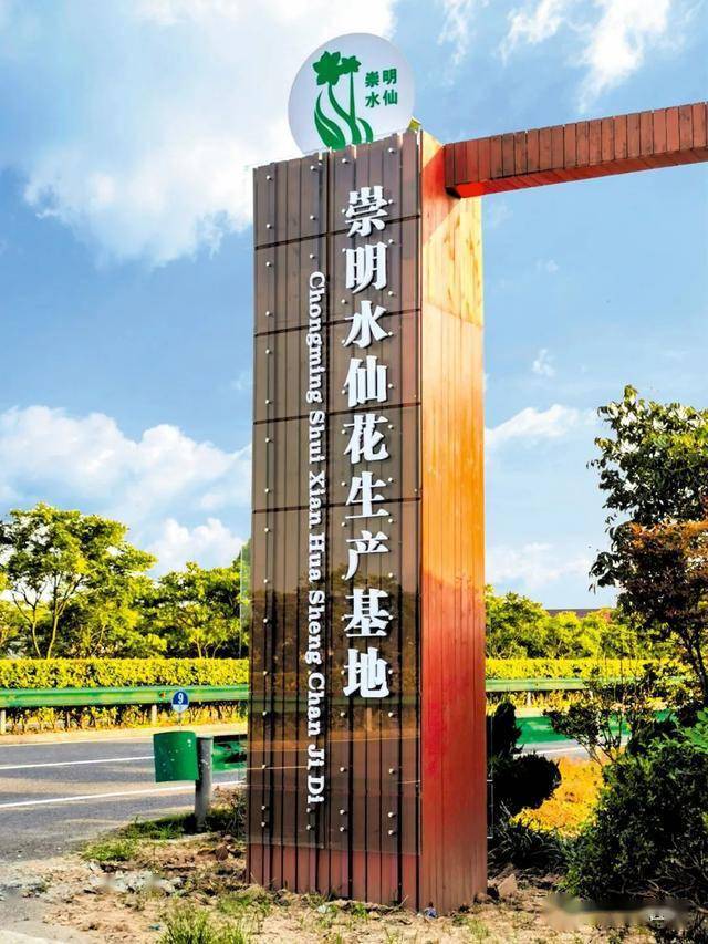 崇明姐妹花唱响地域特色品牌第十届花博会上海崇明专题