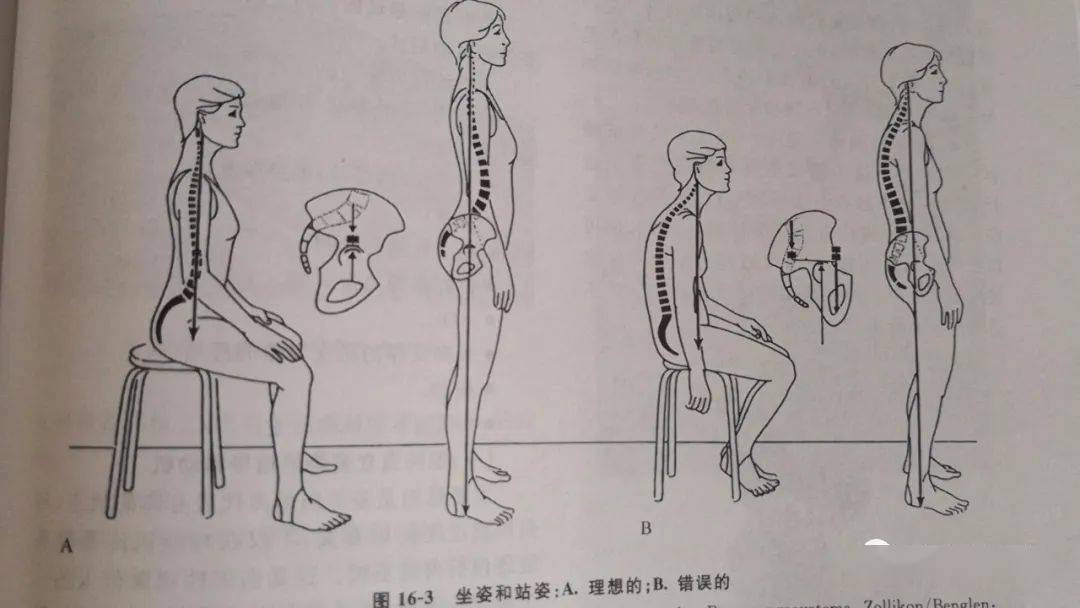 人體脊柱頸椎,胸椎,腰椎就像三個關聯的齒輪,互相影響.