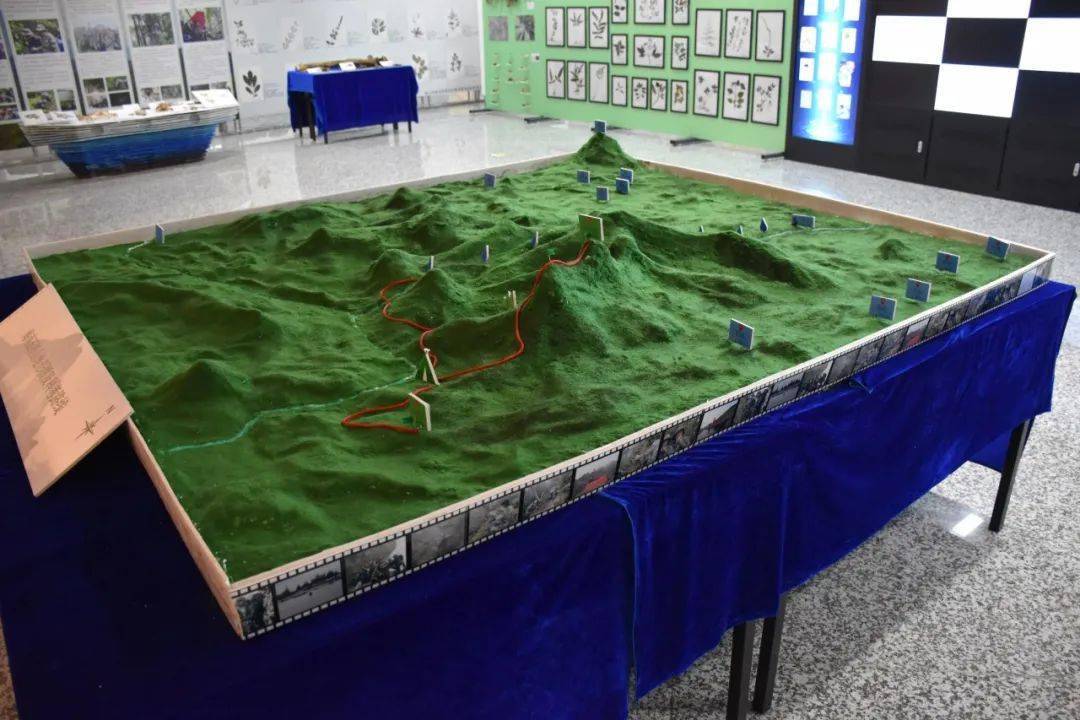 五指山地形沙盘海洋标本展区滑动可以看到其他图片哟植物标本展区开展