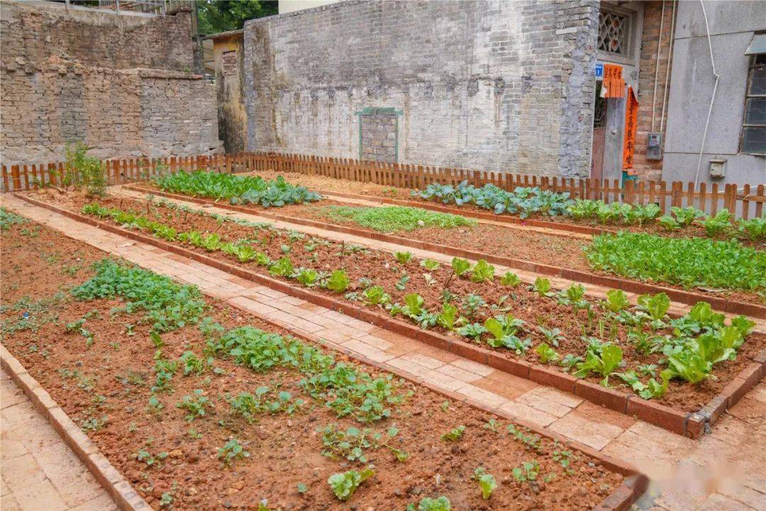 惊喜!茶山这些"闹心地"变身小花园,小公园