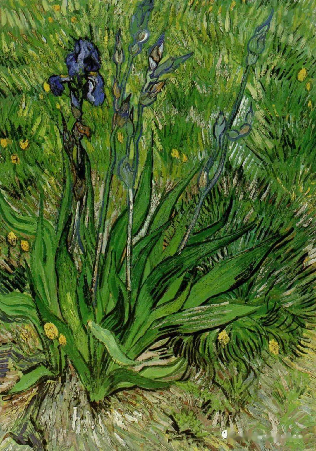 油画大师文森特梵高作品欣赏200张高清图