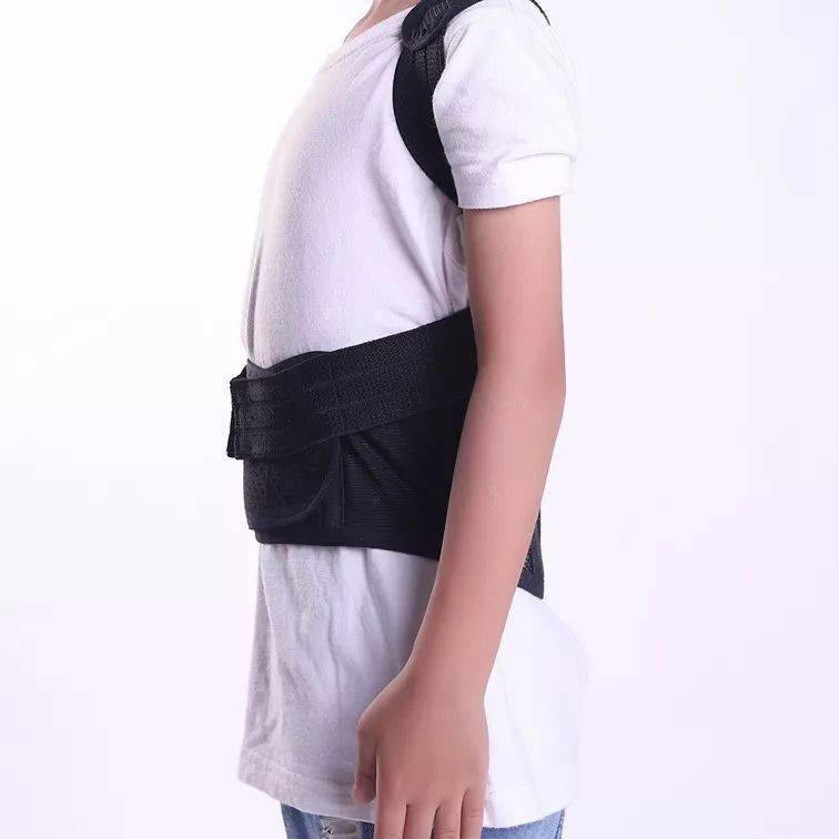 背部专业支撑. 背后有两根亚克力板支撑,帮助脊柱挺直.