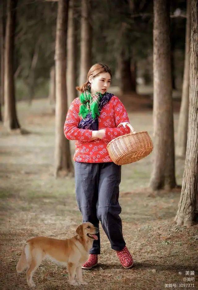 篱笆和狗的女人图片