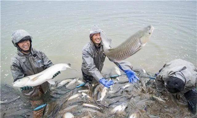 我爱这座城市因为它的存在大冶市东风农场篇