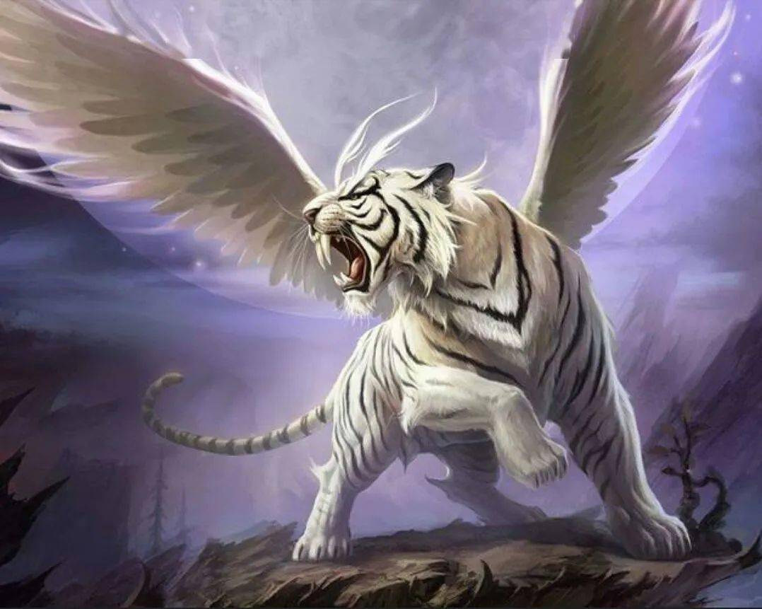 青龙怕臭白虎怕吵千年风水老口诀记清楚少犯风水禁忌